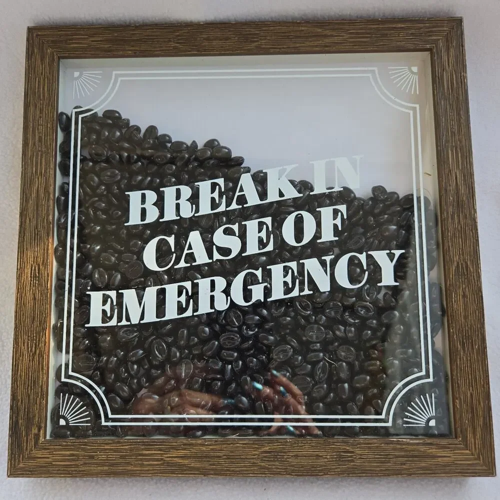 Coffee Shop Picture Bean Filled Wall Art Box Break In Case of Emergency Cafe 3D